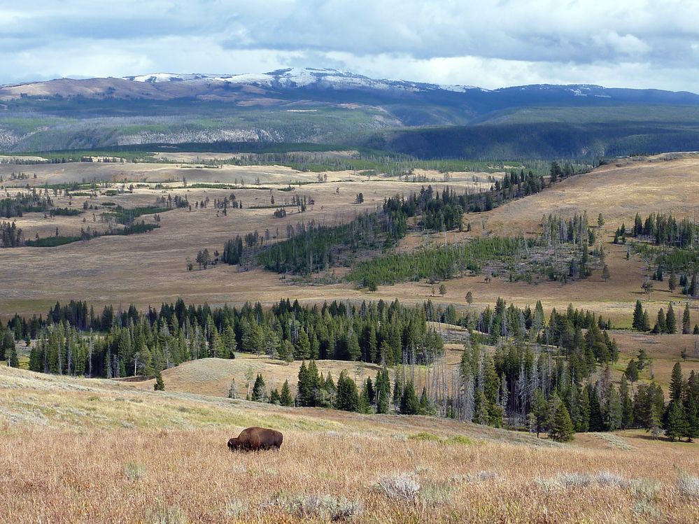 Yellowstone (76).JPG